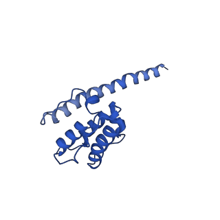 35302_8iai_M_v1-1
Structure of mammalian spectrin-actin junctional complex of membrane skeleton, State II, Global map