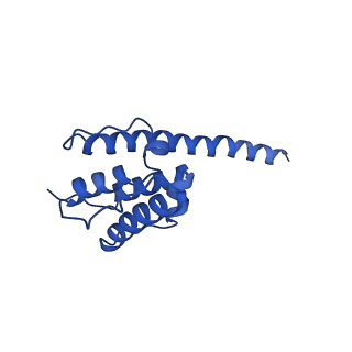 35302_8iai_O_v1-1
Structure of mammalian spectrin-actin junctional complex of membrane skeleton, State II, Global map