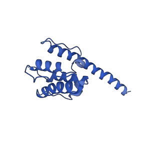 35302_8iai_Q_v1-1
Structure of mammalian spectrin-actin junctional complex of membrane skeleton, State II, Global map