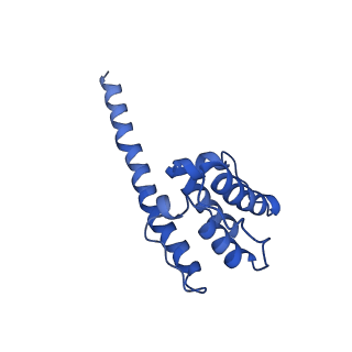 35302_8iai_T_v1-1
Structure of mammalian spectrin-actin junctional complex of membrane skeleton, State II, Global map