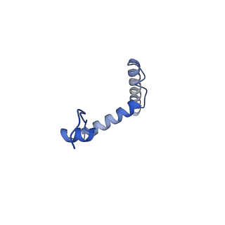 35304_8iaj_C_v1-0
Cryo-EM structure of the yeast SPT-ORM2 (ORM2-S3A) complex