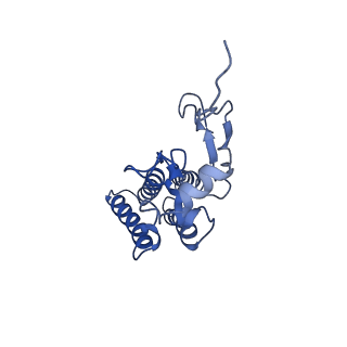 35304_8iaj_D_v1-0
Cryo-EM structure of the yeast SPT-ORM2 (ORM2-S3A) complex