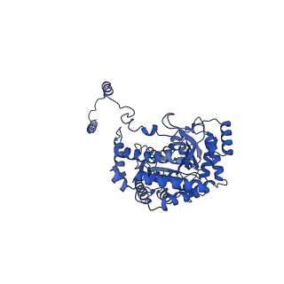 35304_8iaj_E_v1-0
Cryo-EM structure of the yeast SPT-ORM2 (ORM2-S3A) complex