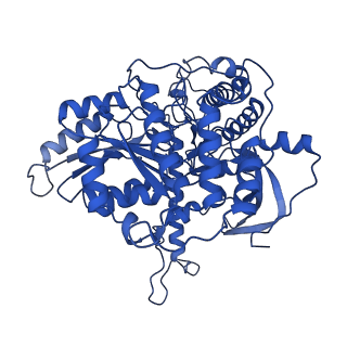 35304_8iaj_F_v1-0
Cryo-EM structure of the yeast SPT-ORM2 (ORM2-S3A) complex