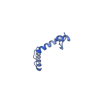 35304_8iaj_G_v1-0
Cryo-EM structure of the yeast SPT-ORM2 (ORM2-S3A) complex