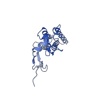 35304_8iaj_H_v1-0
Cryo-EM structure of the yeast SPT-ORM2 (ORM2-S3A) complex