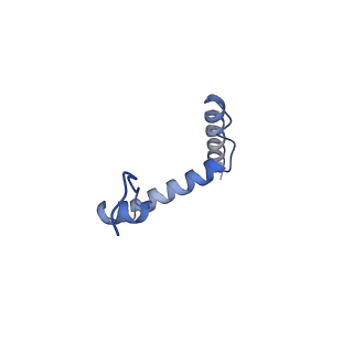 35306_8iak_C_v1-0
Cryo-EM structure of the yeast SPT-ORM2 (ORM2-S3A-N71A) complex