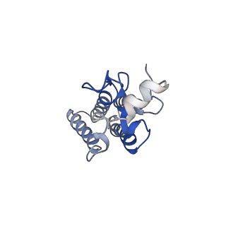 35306_8iak_D_v1-0
Cryo-EM structure of the yeast SPT-ORM2 (ORM2-S3A-N71A) complex