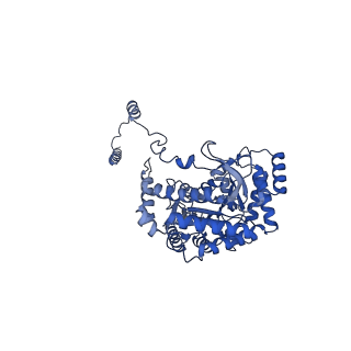 35306_8iak_E_v1-0
Cryo-EM structure of the yeast SPT-ORM2 (ORM2-S3A-N71A) complex