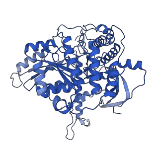 35306_8iak_F_v1-0
Cryo-EM structure of the yeast SPT-ORM2 (ORM2-S3A-N71A) complex