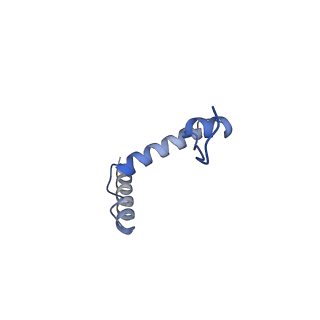 35306_8iak_G_v1-0
Cryo-EM structure of the yeast SPT-ORM2 (ORM2-S3A-N71A) complex