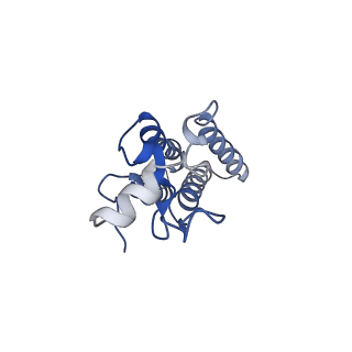 35306_8iak_H_v1-0
Cryo-EM structure of the yeast SPT-ORM2 (ORM2-S3A-N71A) complex