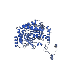 35310_8iam_A_v1-0
Cryo-EM structure of the yeast SPT-ORM2 (ORM2-S3D) complex