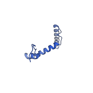 35310_8iam_C_v1-0
Cryo-EM structure of the yeast SPT-ORM2 (ORM2-S3D) complex