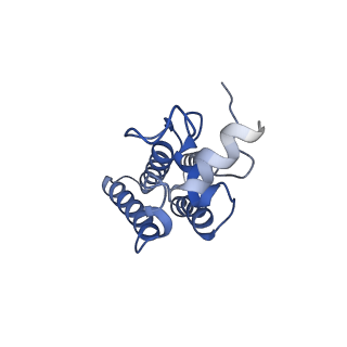 35310_8iam_D_v1-0
Cryo-EM structure of the yeast SPT-ORM2 (ORM2-S3D) complex