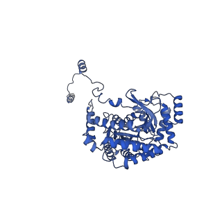 35310_8iam_E_v1-0
Cryo-EM structure of the yeast SPT-ORM2 (ORM2-S3D) complex