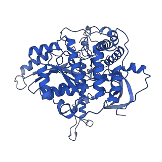 35310_8iam_F_v1-0
Cryo-EM structure of the yeast SPT-ORM2 (ORM2-S3D) complex
