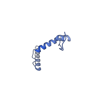 35310_8iam_G_v1-0
Cryo-EM structure of the yeast SPT-ORM2 (ORM2-S3D) complex
