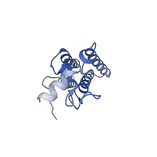 35310_8iam_H_v1-0
Cryo-EM structure of the yeast SPT-ORM2 (ORM2-S3D) complex