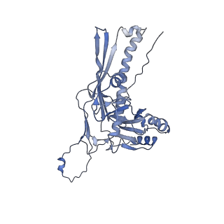 4440_6iaw_M_v1-1
Structure of head fiber and inner core protein gp22 of native bacteriophage P68