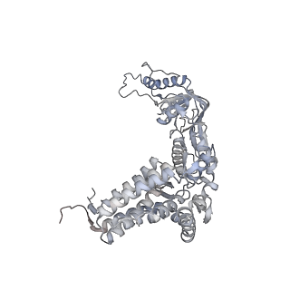 35335_8ib8_A_v1-0
Human TRiC-PhLP2A-actin complex in the closed state