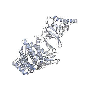 35335_8ib8_B_v1-0
Human TRiC-PhLP2A-actin complex in the closed state