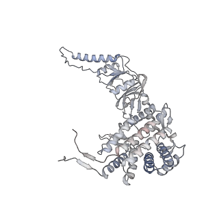 35335_8ib8_C_v1-0
Human TRiC-PhLP2A-actin complex in the closed state