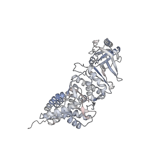 35335_8ib8_D_v1-0
Human TRiC-PhLP2A-actin complex in the closed state