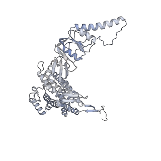 35335_8ib8_E_v1-0
Human TRiC-PhLP2A-actin complex in the closed state