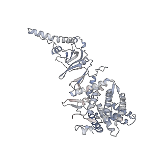 35335_8ib8_F_v1-0
Human TRiC-PhLP2A-actin complex in the closed state
