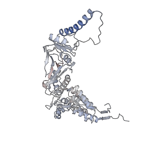 35335_8ib8_G_v1-0
Human TRiC-PhLP2A-actin complex in the closed state