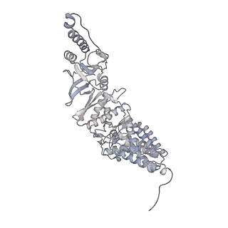 35335_8ib8_H_v1-0
Human TRiC-PhLP2A-actin complex in the closed state