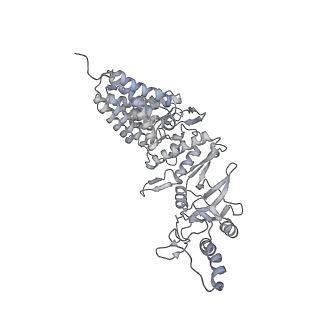 35335_8ib8_I_v1-0
Human TRiC-PhLP2A-actin complex in the closed state