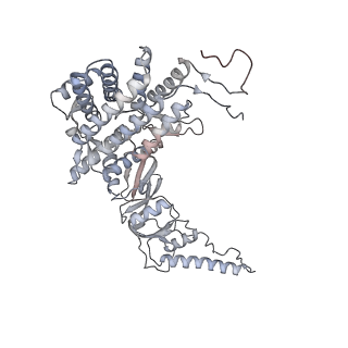 35335_8ib8_J_v1-0
Human TRiC-PhLP2A-actin complex in the closed state