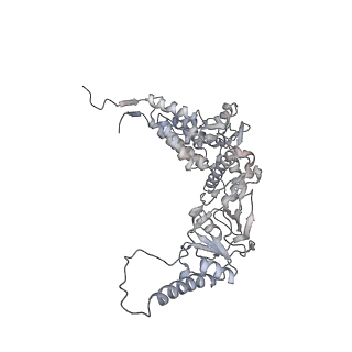 35335_8ib8_K_v1-0
Human TRiC-PhLP2A-actin complex in the closed state