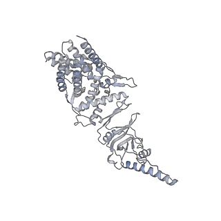35335_8ib8_L_v1-0
Human TRiC-PhLP2A-actin complex in the closed state