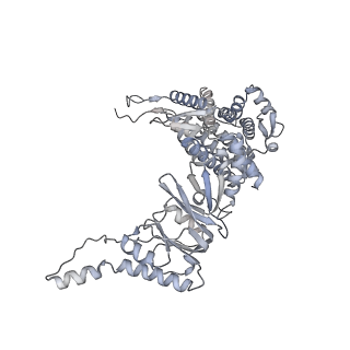 35335_8ib8_N_v1-0
Human TRiC-PhLP2A-actin complex in the closed state