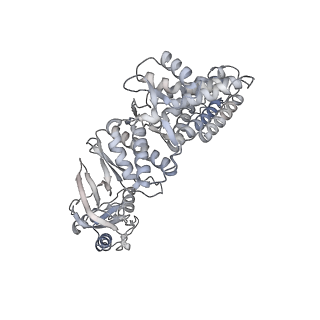 35335_8ib8_O_v1-0
Human TRiC-PhLP2A-actin complex in the closed state