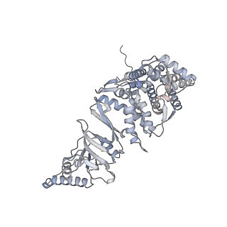 35335_8ib8_P_v1-0
Human TRiC-PhLP2A-actin complex in the closed state