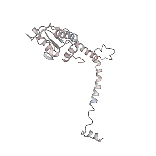 35335_8ib8_Q_v1-0
Human TRiC-PhLP2A-actin complex in the closed state