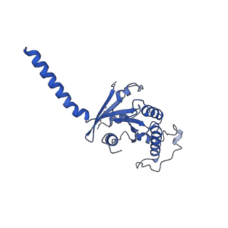 35345_8ibu_A_v1-0
Cryo-EM structure of the erythromycin-bound motilin receptor-Gq protein complex