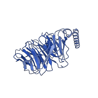 35345_8ibu_B_v1-0
Cryo-EM structure of the erythromycin-bound motilin receptor-Gq protein complex