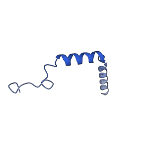 35345_8ibu_G_v1-0
Cryo-EM structure of the erythromycin-bound motilin receptor-Gq protein complex