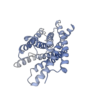 35345_8ibu_R_v1-0
Cryo-EM structure of the erythromycin-bound motilin receptor-Gq protein complex