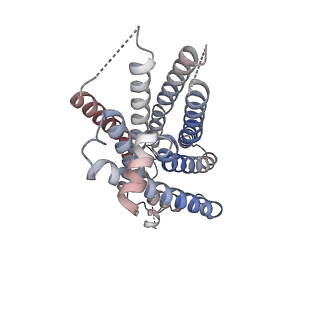 35346_8ibv_R_v1-0
Cryo-EM structure of the motilin-bound motilin receptor-Gq protein complex