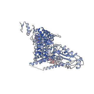 35347_8ibw_C_v1-0
Structure of R2 with 3'UTR and DNA in binding state