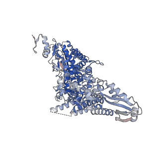35348_8ibx_C_v1-0
Structure of R2 with 3'UTR and DNA in unwinding state