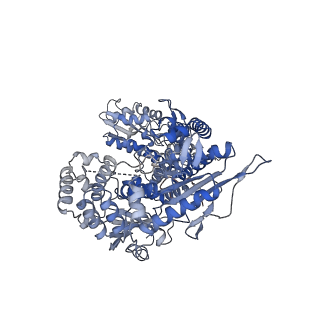 35349_8iby_C_v1-0
Structure of R2 with 5'ORF