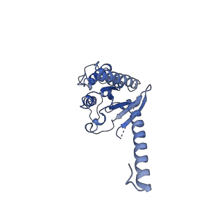 35356_8id3_A_v1-2
Cryo-EM structure of the 9-hydroxystearic acid bound GPR120-Gi complex
