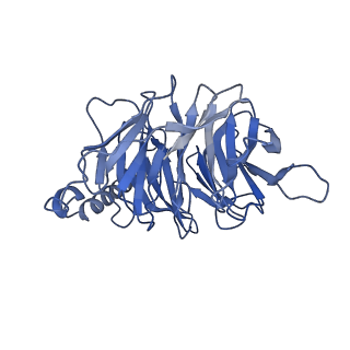 35356_8id3_B_v1-2
Cryo-EM structure of the 9-hydroxystearic acid bound GPR120-Gi complex